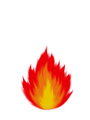 ���� �